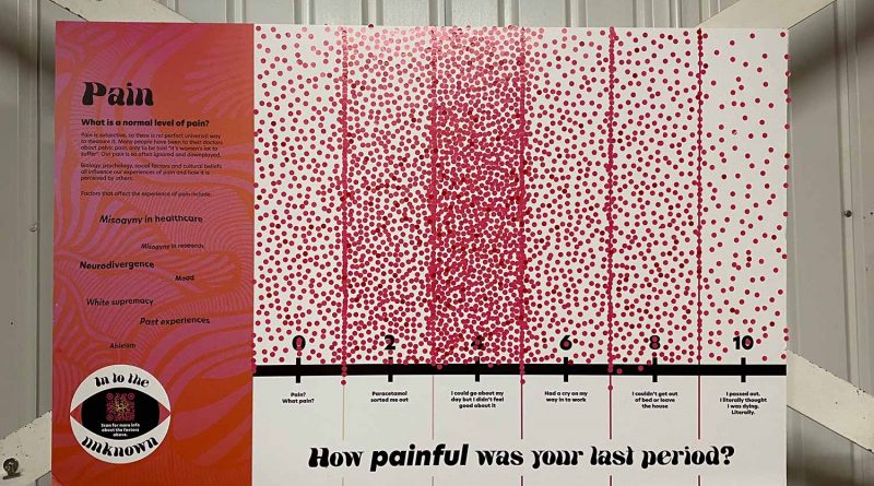 A graph about the painfulness of period pain at the exhibition ‘Endometriosis: Into the Unknown’ at The Vagina Museum