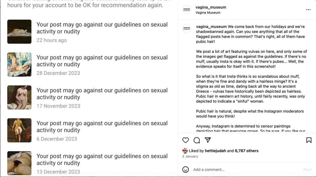 Screenshot of Vagina Museum Instagram account posts that were suspended